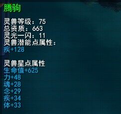 马.jpg