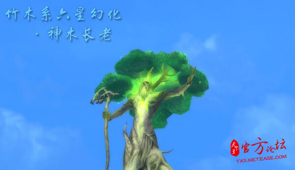 点击放大