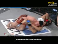 进击中的颓废之心，解读众明星的给力代言