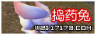 捣药兔