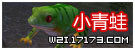 小青蛙