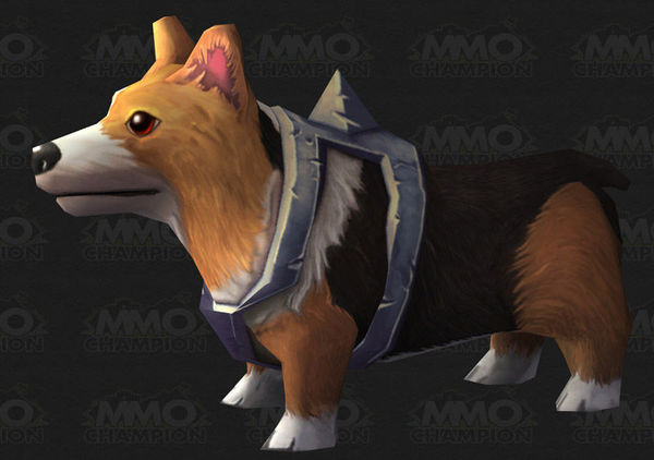 炉石传说棋盘与萌犬柯基！魔兽世界5.4补丁新增模型