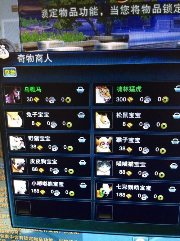 新宠物