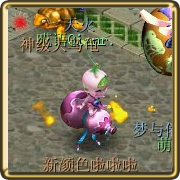 梦幻西游变异宝宝