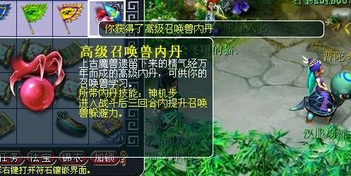 15.jpg