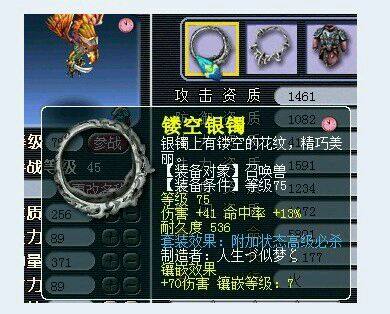 另类打造师 专注宠装30年