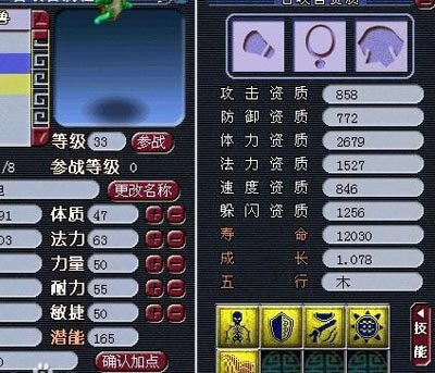 大海龟