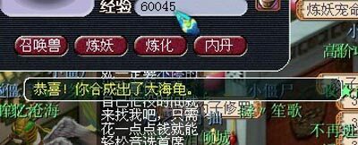 大海龟