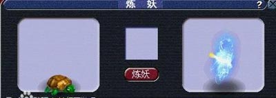 大海龟