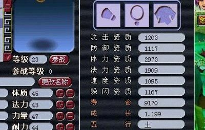 大海龟