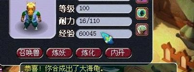 大海龟