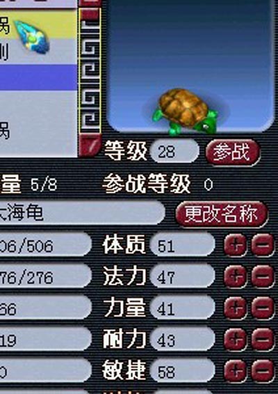 大海龟