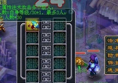 大海龟