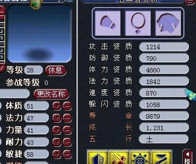 大海龟