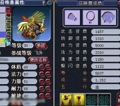 大海龟