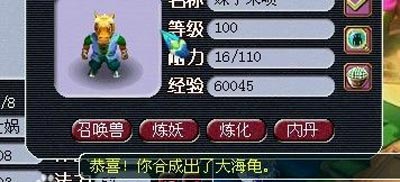 大海龟