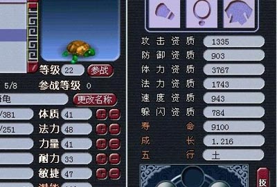 大海龟