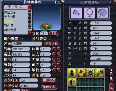 大海龟