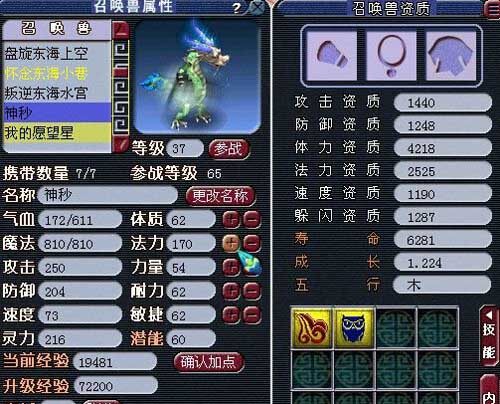 个性宠