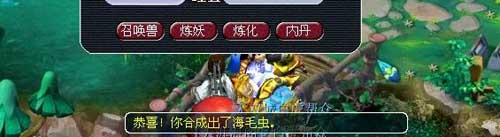 个性宠