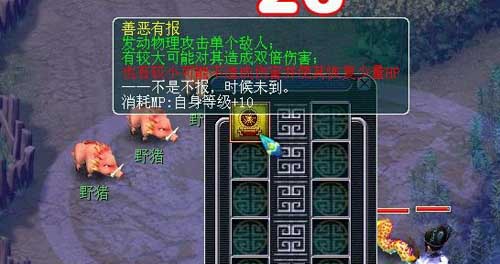 个性宠