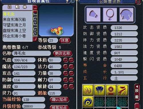 个性宠