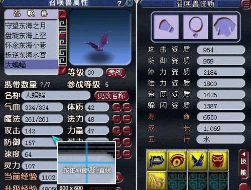 个性宠