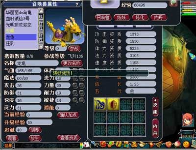 龙龟