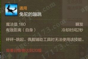兔驼的蹦跳