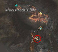Trek Fire Imp Pocket Location.jpg