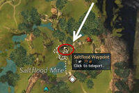 Trek Saltflood Altar Location.jpg