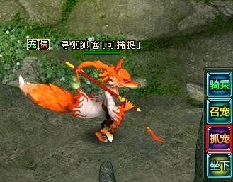 女生必玩 《新蓬莱》独家萌宠养成计划