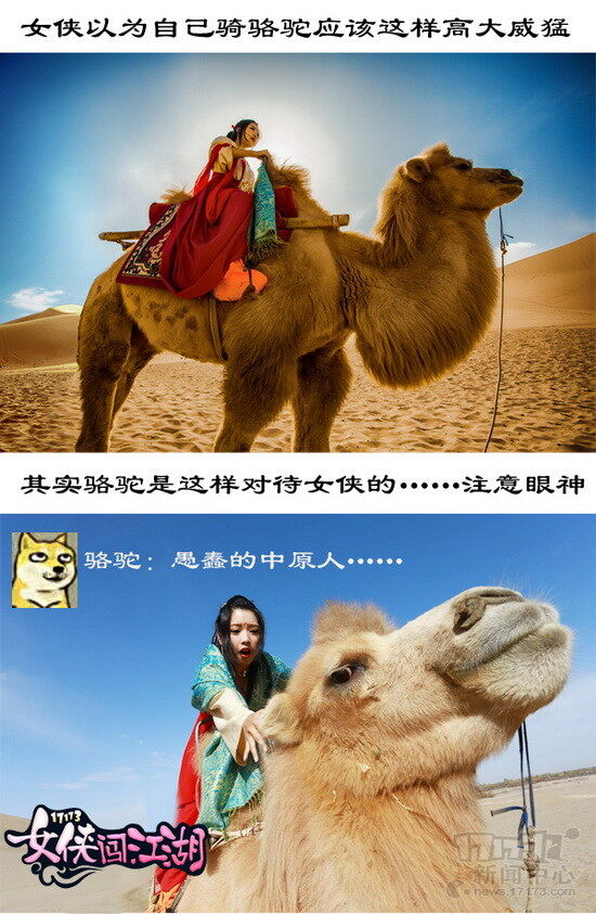 女侠，白女侠，西游记，梦幻西游2最新图片