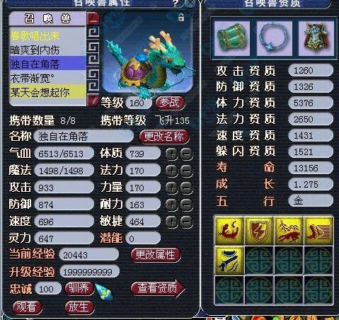 龙龟