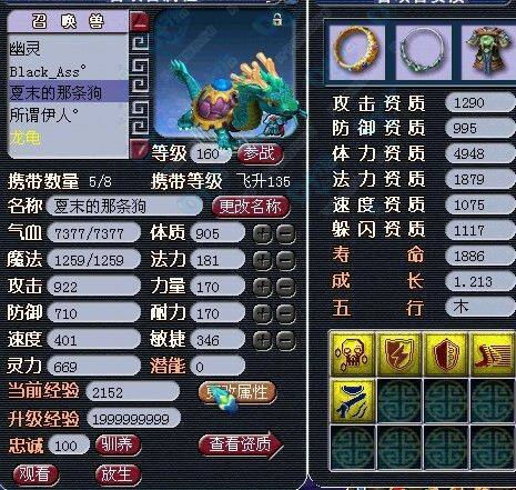 龙龟