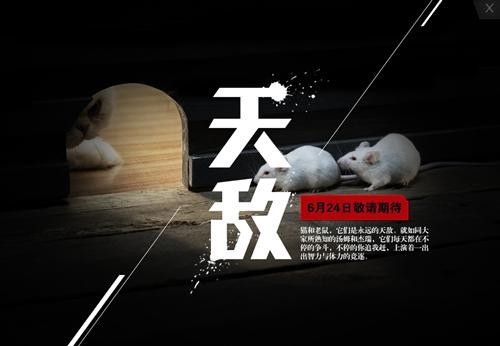 “猫鼠大战”赛车联盟神秘元素即将浮出水面
