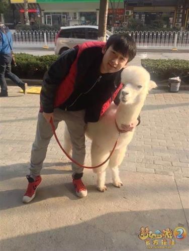 {{keywords}}最新图片