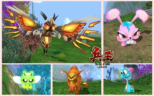 {{keywords}}最新图片