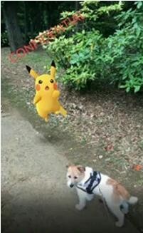 <!--infoKeyWord-->最新图片