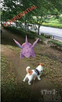 <!--infoKeyWord-->最新图片