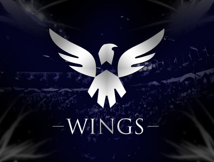 wings战队图标图片