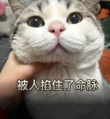 大B神相亲36年一直单身