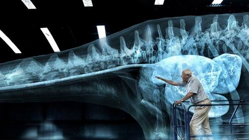 BBC拍摄全景恐龙记录片 总共耗时4万小时