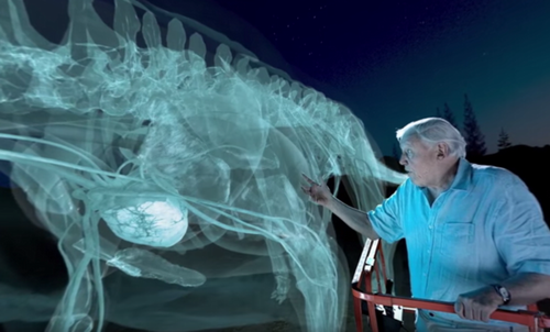 BBC拍摄全景恐龙记录片 总共耗时4万小时