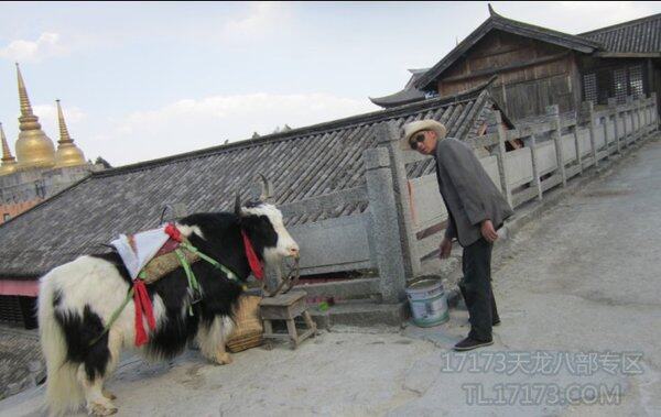 天龙玩家游大理城  游戏与现实的景点对比