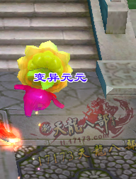 玩家晒变异元元属性 世界杯特别版珍兽展示
