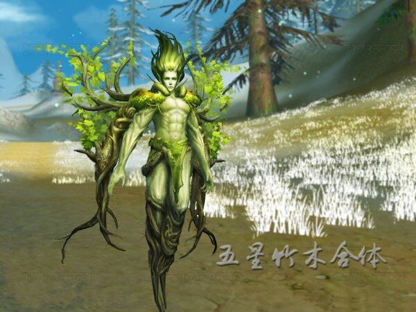 天下3五星竹木合体之男性角色版外观展示